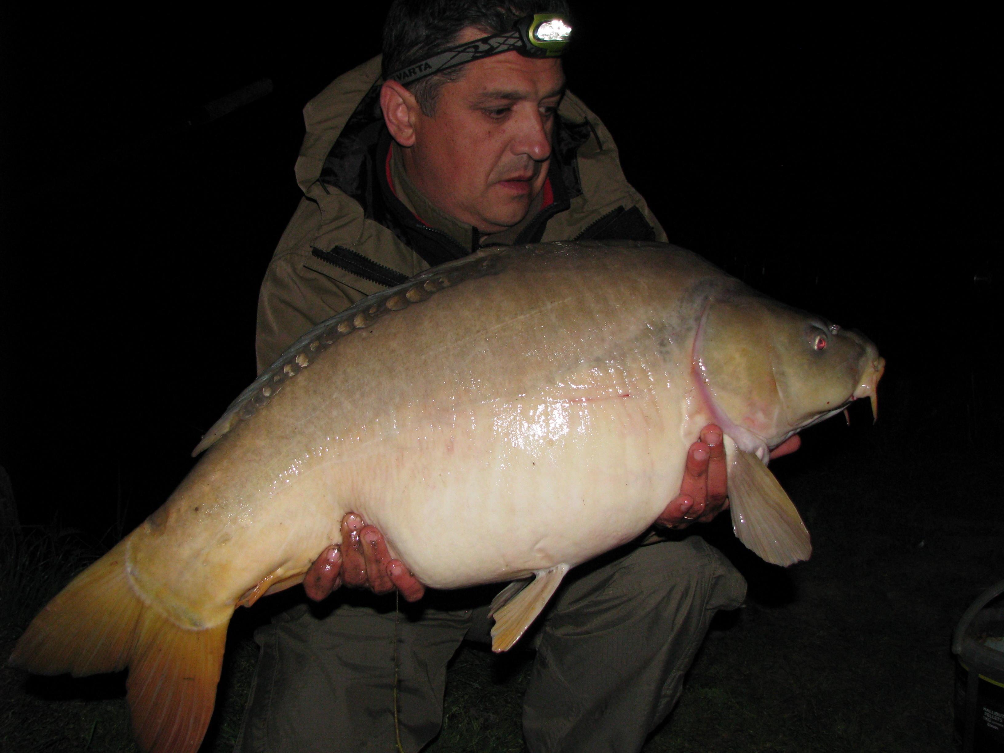 capturi - IMG_2930.JPG